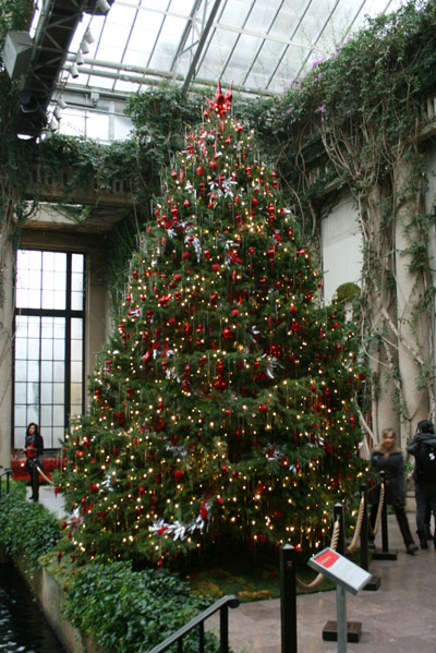 longwoodchristmas2012_0837