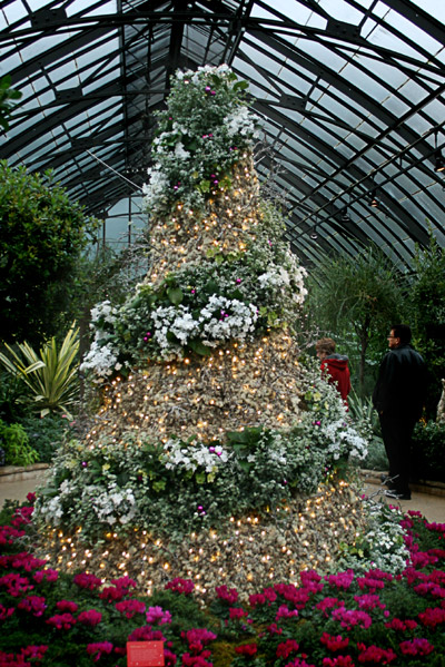 longwoodchristmas2012_0851