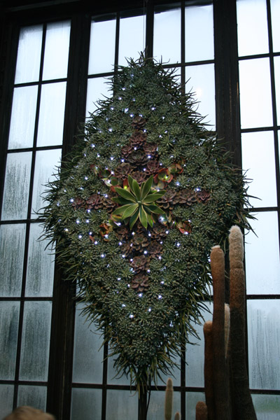 longwoodchristmas2012_0859