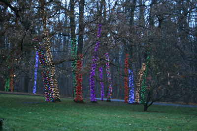 longwoodchristmas2012_0883