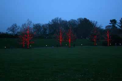 longwoodchristmas2012_0892