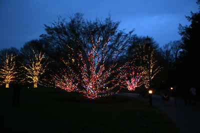 longwoodchristmas2012_0932