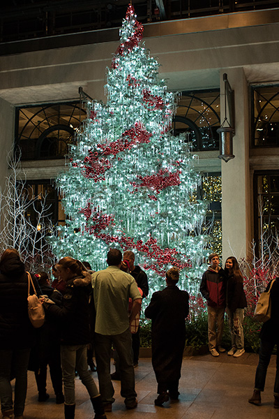 longwoodchristmas2018_6802