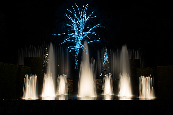 longwoodchristmas2018_6919