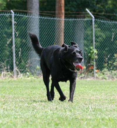 Madison at the Park