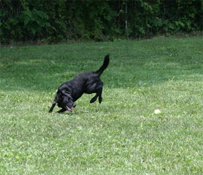 Madison at the Park