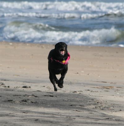 Madison on beach