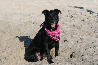 Madison on beach