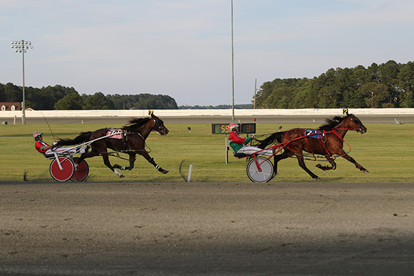 Harness Racing