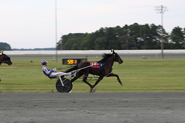 Harness Racing