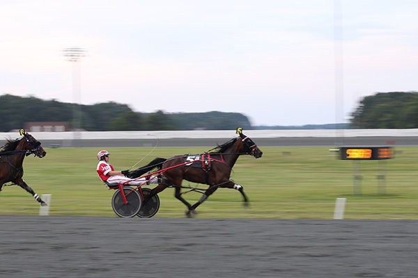 Harness Racing