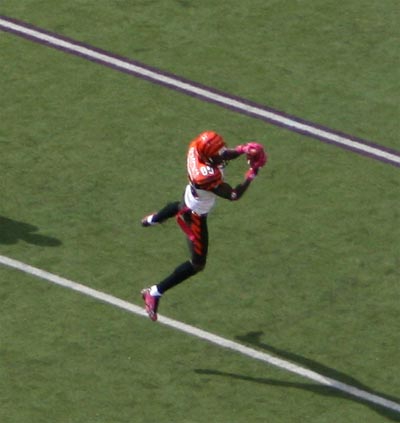ochocinco3