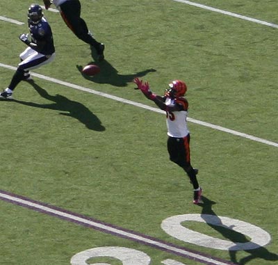 ochocinco7