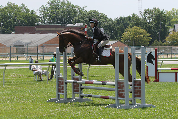 pimlicohorseshow2015_0505