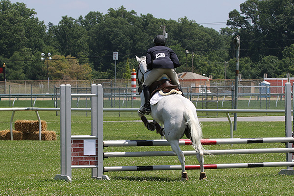 pimlicohorseshow2015_0686