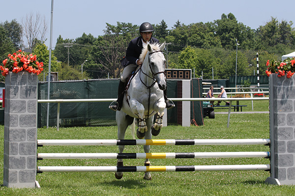 pimlicohorseshow2015_0698