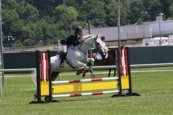 pimlicohorseshow2015_0706