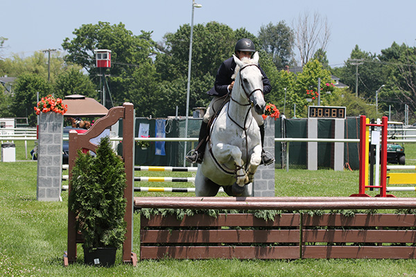 pimlicohorseshow2015_0730