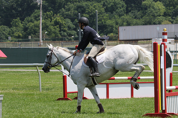 pimlicohorseshow2015_0739