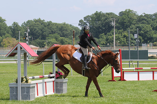 pimlicohorseshow2015_0837