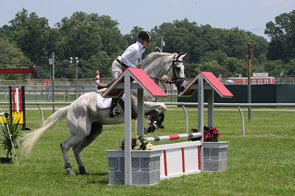 pimlicohorseshow2015_0969