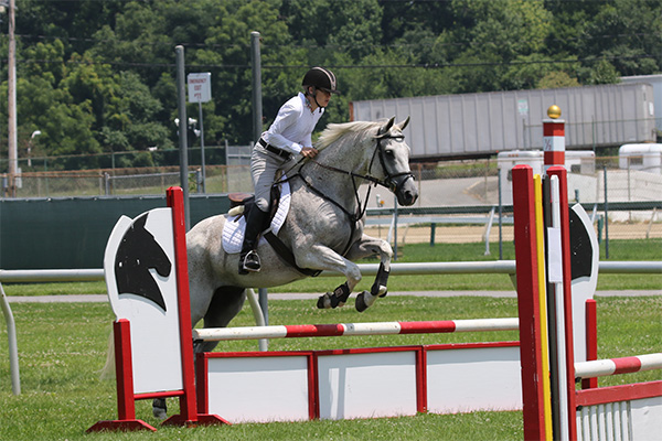 pimlicohorseshow2015_1008