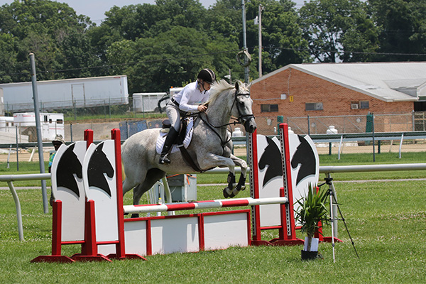 pimlicohorseshow2015_1060