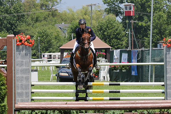 pimlicohorseshow2015_1074