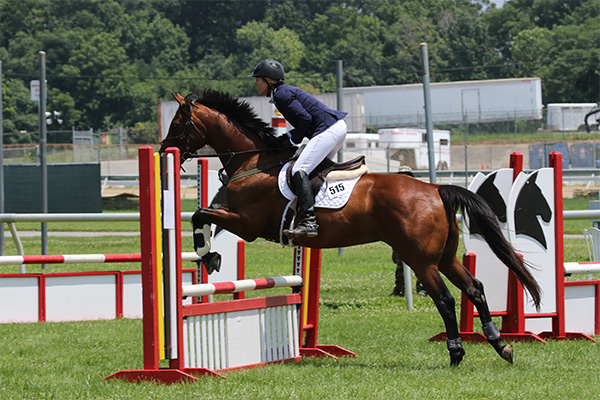 pimlicohorseshow2015_1092