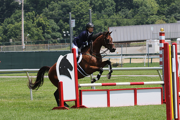 pimlicohorseshow2015_1098