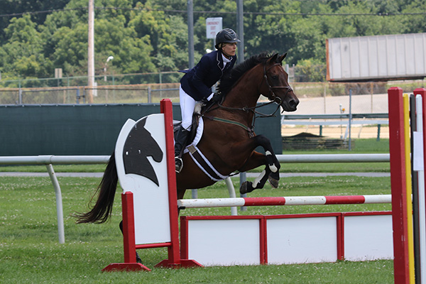 pimlicohorseshow2015_1144