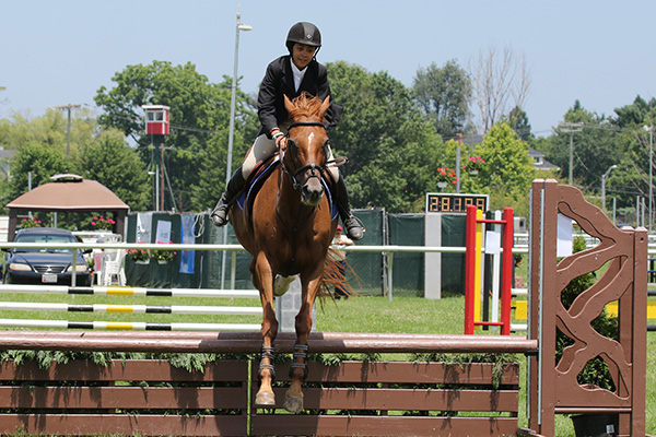 pimlicohorseshow2015_1171