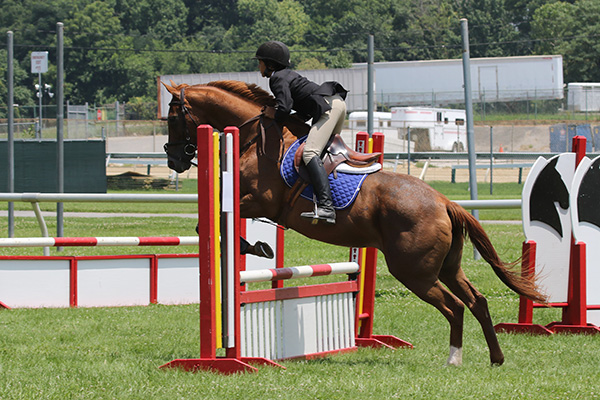 pimlicohorseshow2015_1181