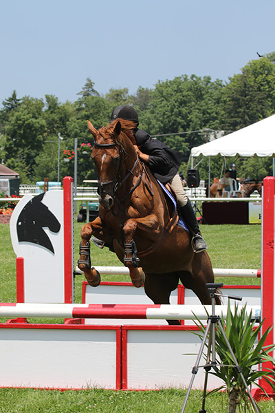 pimlicohorseshow2015_1206