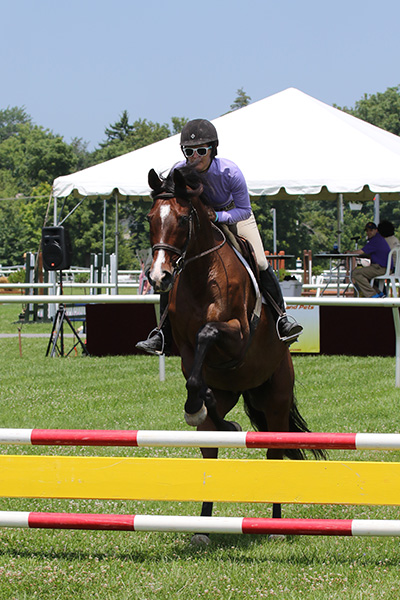 pimlicohorseshow2015_1265