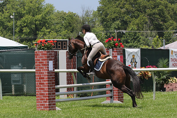 pimlicohorseshow2015_1311