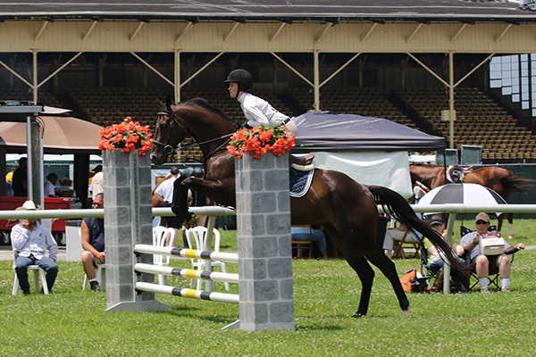 pimlicohorseshow2015_1319