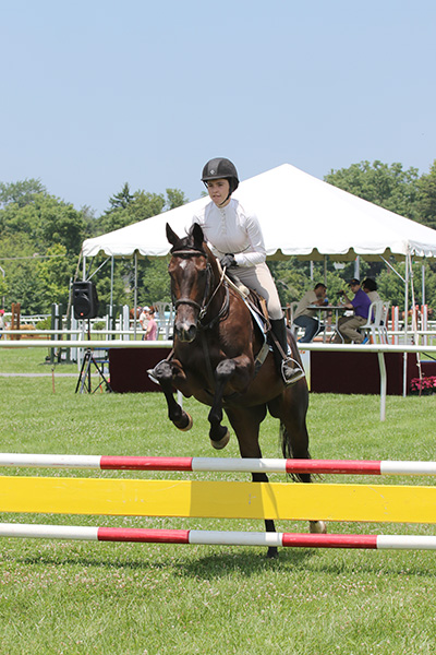 pimlicohorseshow2015_1343