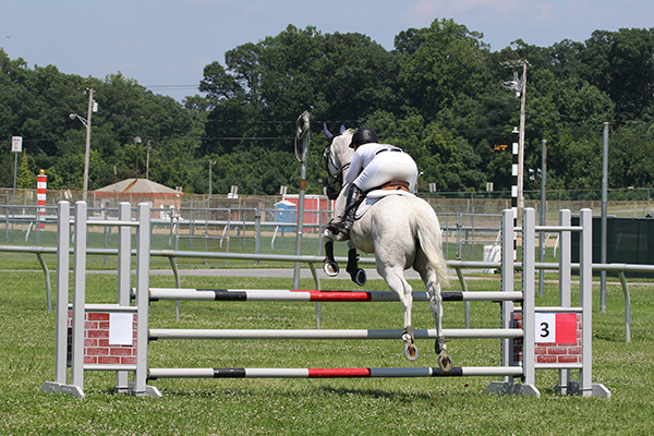 pimlicohorseshow2015_1426