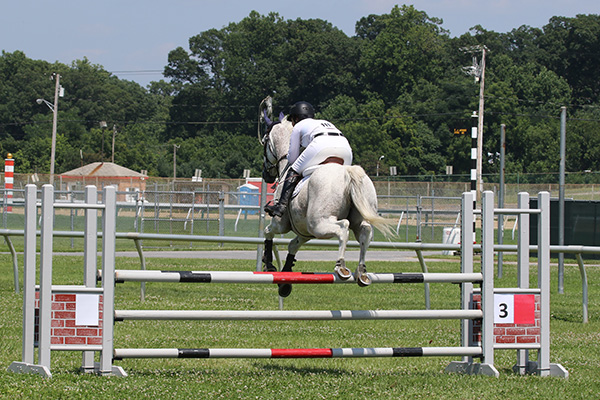 pimlicohorseshow2015_1427