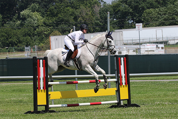 pimlicohorseshow2015_1446