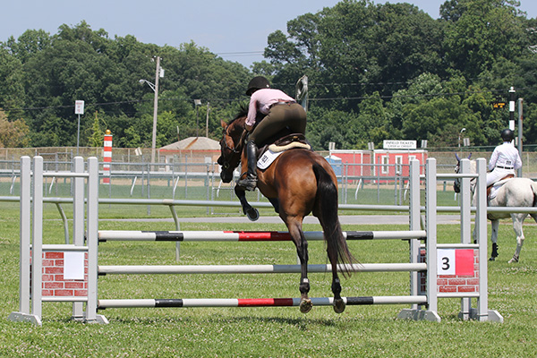 pimlicohorseshow2015_1460