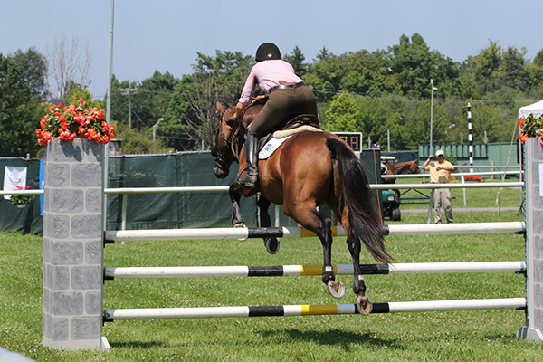 pimlicohorseshow2015_1478