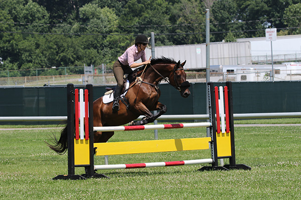 pimlicohorseshow2015_1487