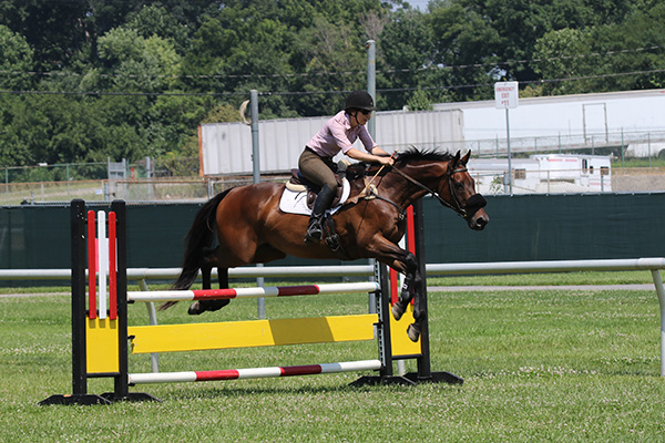 pimlicohorseshow2015_1489