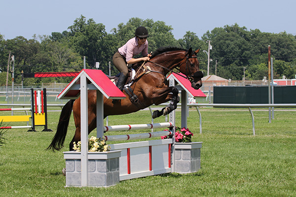 pimlicohorseshow2015_1496