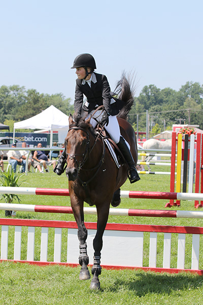 pimlicohorseshow2015_1539