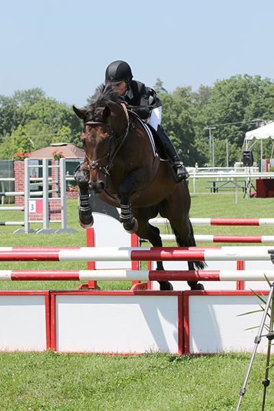 pimlicohorseshow2015_1546