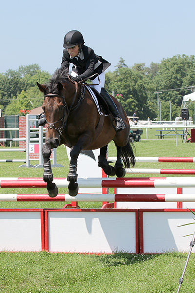 pimlicohorseshow2015_1547