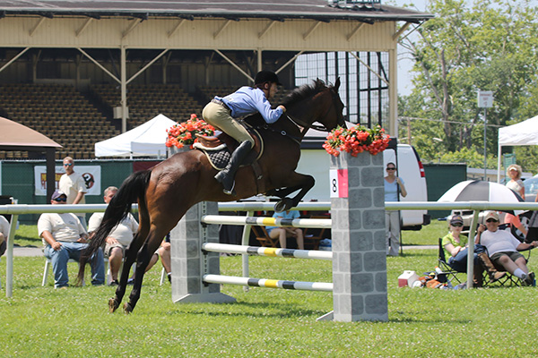 pimlicohorseshow2015_1708